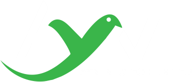ayn logo